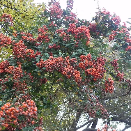Mariensztat - 2 Swans Apartamento