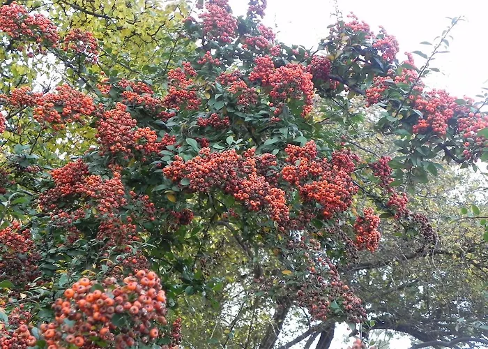 Mariensztat - 2 Swans Apartment